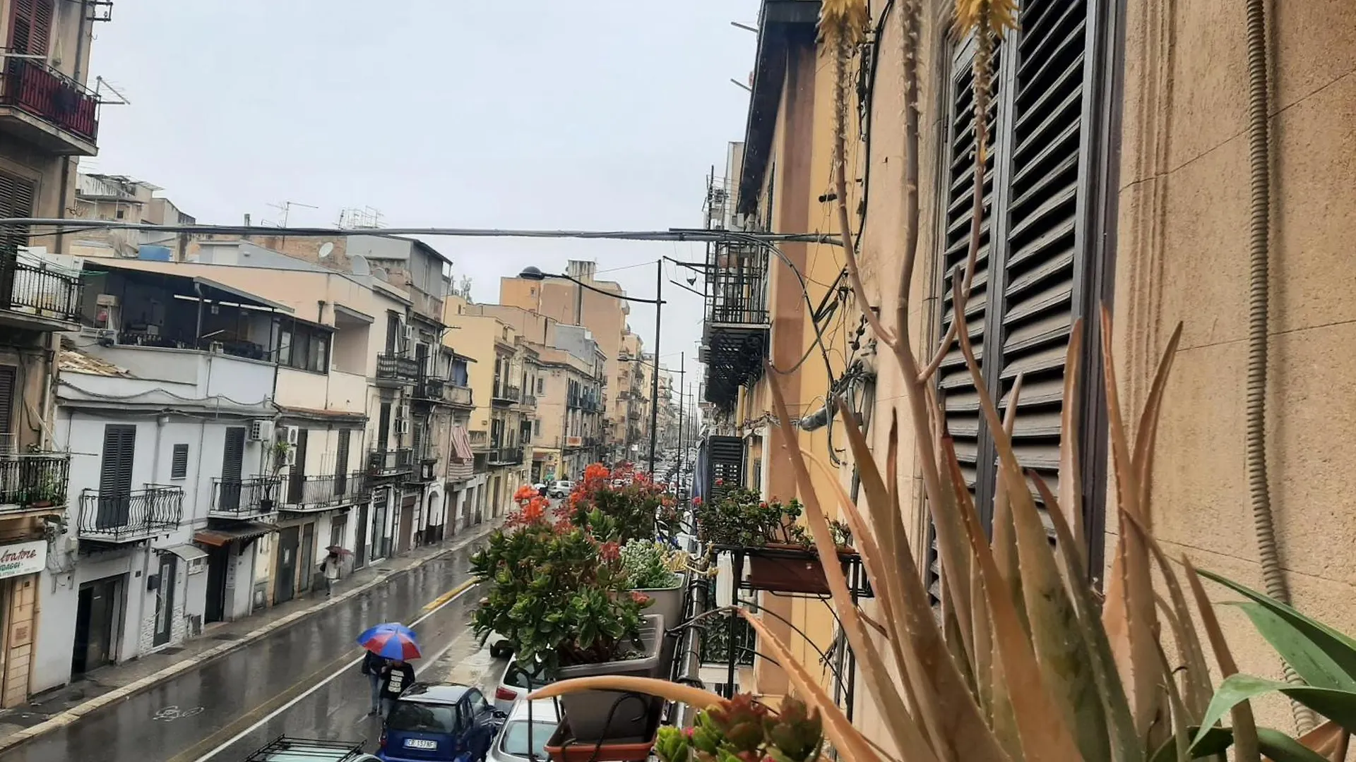 Apartment Casa Ore-Tea Palermo